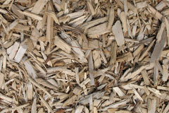 biomass boilers Balmedie